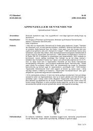 PDF-file: Appenzeller sennenhund - Dansk Kennel Klub