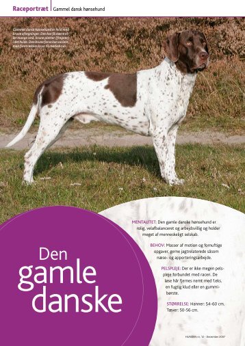 Raceportræt Gammel dansk hønsehund - Dansk Kennel Klub