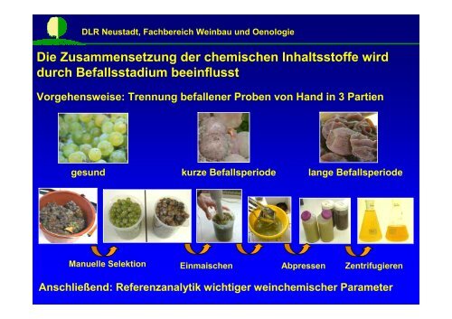 Web_02_Berger_FTIR.pdf - DLR Rheinpfalz