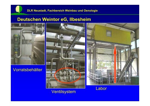 Web_02_Berger_FTIR.pdf - DLR Rheinpfalz