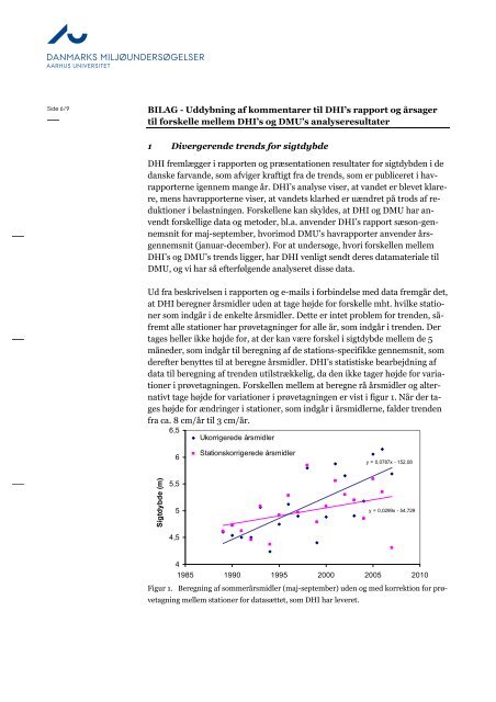 Notat om DHI's rapport om ålegræsværktøjet til vurdering af ...