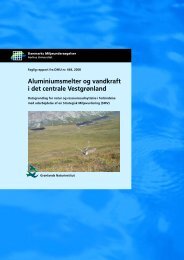 Aluminiumsmelter og vandkraft i det centrale Vestgrønland