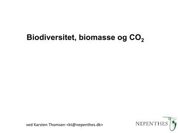 Skove er vigtige for globalt carbon