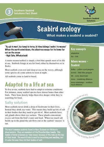 Seabird ecology: what makes a seabird a seabird?