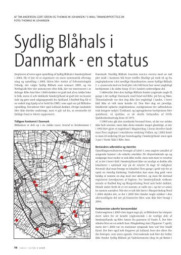 Sydlig Blåhals i Danmark - en status