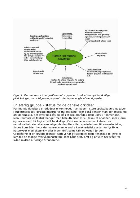 Status over Danmarks planter 2005 - Dansk Ornitologisk Forening