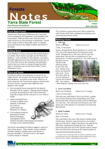 Yarra State Forest - Department of Sustainability and Environment