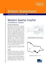 Western Swamp Crayfish - Department of Sustainability and ...