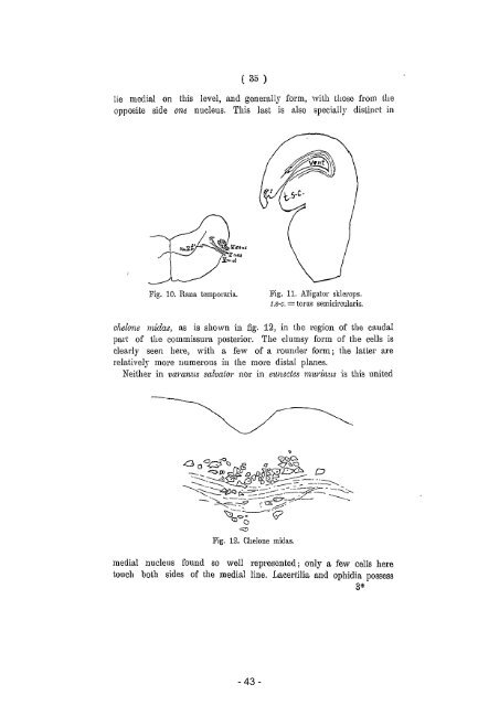 Proceedings of the section of sciences - DWC - KNAW