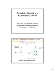 Probability, Mendel, and Extensions to Mendel