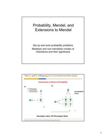 Probability, Mendel, and Extensions to Mendel