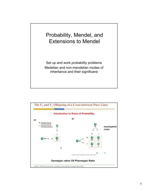 Probability, Mendel, and Extensions to Mendel