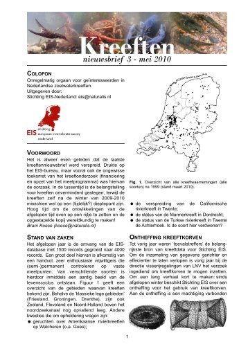 Kreeften - EIS-Nederland