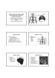 Medicin för teknologer 100315 handouts