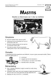 MASTITIS