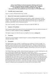 Commonwealth Listing Advice on Engaewa walpolea