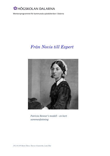 Sammanfattning av Patricia Benner's teori "Från Novis till Expert"