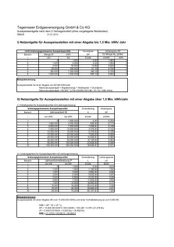 exkl. vorgel. Netzentgelte - Tegernseer ...