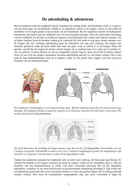 De ademhaling & ademsteun - Erik Veldkamp
