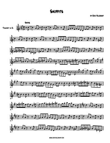 Snippits - Erik Veldkamp