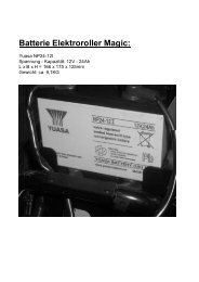 MAGIC BATTERIE ALTERNATIVEN.pdf