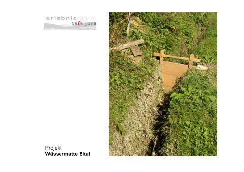 Projekt: Wässermatte und Aue im Eital - Erlebnisraum Tafeljura