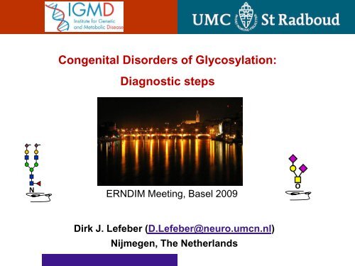 Congenital Disorders of Glycosylation: Diagnostic steps - ERNDIM