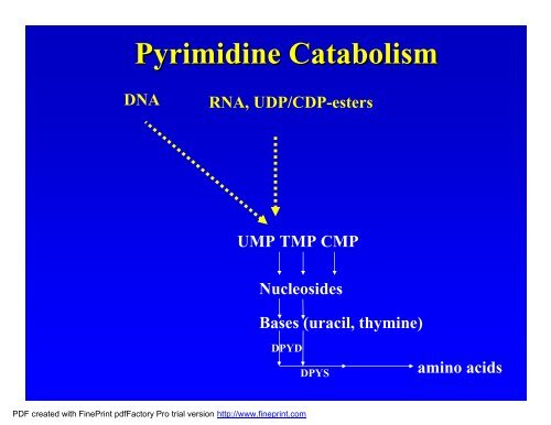 Biochemical and laboratory aspects of purine and ... - ERNDIM