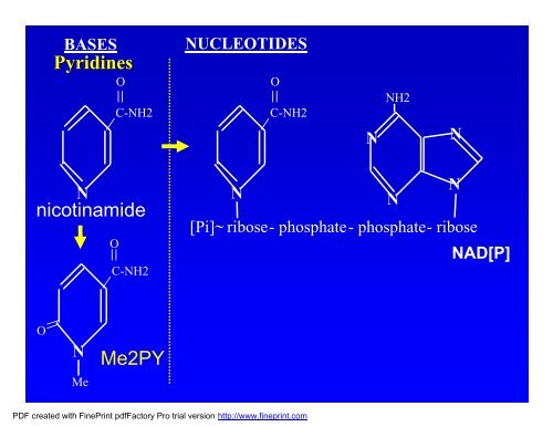 Biochemical and laboratory aspects of purine and ... - ERNDIM