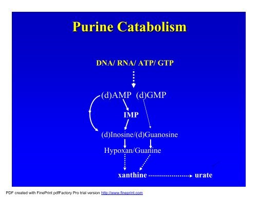 Biochemical and laboratory aspects of purine and ... - ERNDIM