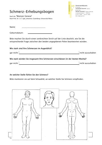 Schmerz-Erhebungsbogen - Erste-zahnarztmeinung.de