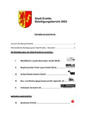 Stadt Erwitte Beteiligungsbericht 2003