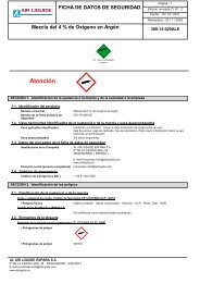 FDS Mezclas 4 %O2-Ar (300-15-029ALE) - Air Liquide