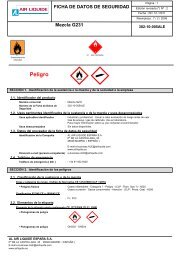 fds mezcla g 231 ... [302-10-005ale] - Air Liquide