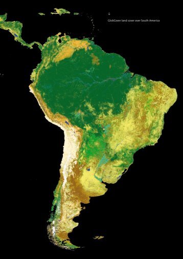 GlobCover land cover over South America - ESA