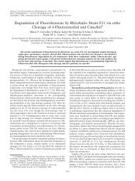 Degradation of Fluorobenzene by Rhizobiales Strain F11 via ortho ...