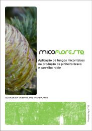 MicoFloresta - Escola Superior de Biotecnologia - Universidade ...