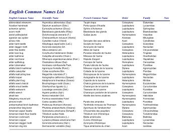 English Common Names List