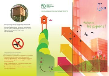 les pigeons ! - Esch sur Alzette
