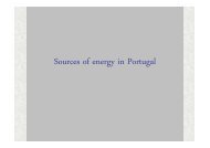 Sources of Energy in Portugal - Esds1.pt