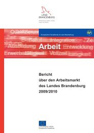 Bericht über den Arbeitsmarkt des Landes Brandenburg 2009/2010
