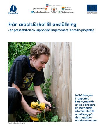 4. Supported employment.pdf