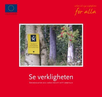 Se verkligheten - Svenska ESF-rådet