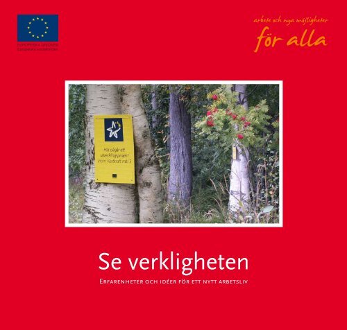 Se verkligheten - Svenska ESF-rådet