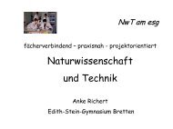 Ausdruck als pdf-Dokument - Edith-Stein-Gymnasium
