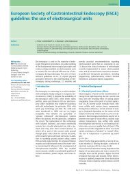 Guideline: the use of electrosurgical units - ESGE