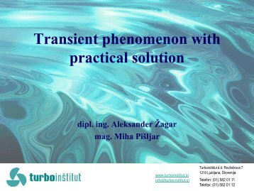 Transient Phenomenon with Practical Solution - ESHA