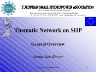 Brief presentation on the Thematic Network - European Small ...