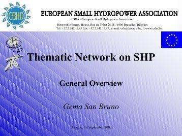 Brief presentation on the Thematic Network - European Small ...
