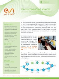 ESI CFD CONSULTING SERVICES - ESI Group